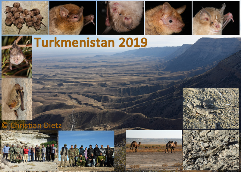 Turkmenistan 2019